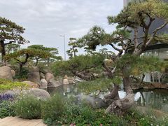 景点-罗红摄影艺术馆