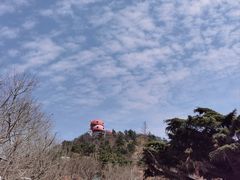 -信号山公园
