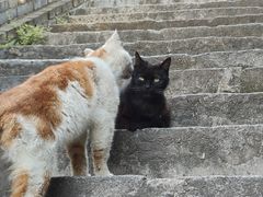 -长春观