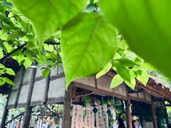 -成都杜甫草堂博物馆