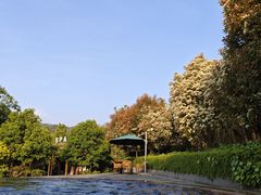 -腾冲洞山温泉村