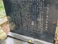 -上海佘山国家森林公园天马山园