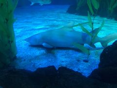-常州海昌海洋探索馆