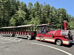 -五营红松林海景区