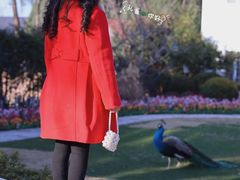 -J Create城市露营咖啡·简餐·宠物(上海动物园店)