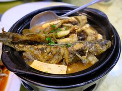 黄骨鱼焖豆腐/斤-来客家食府 · 福建客家菜(厦禾路店)