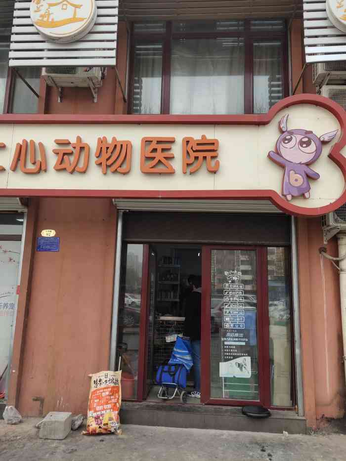 仁心动物医院-"【项目】疾病诊断家中小98喜宝肺炎,经.