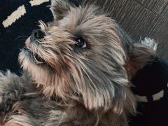 -康乐宝动物医院