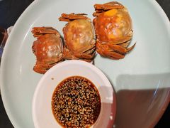 -鸽子侯·家宴·平价海鲜(市图书馆店)