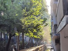 -秦岭风景区