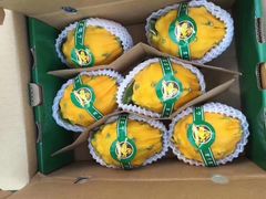 -上海龙吴水胜海发市场