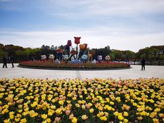 -上海鲜花港