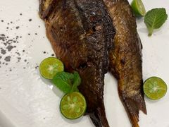 -紫光园·烤鸭·北京菜(劲松店)