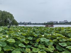 -刘小忙把子肉(北园大街总店)