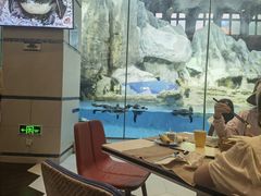 -帝企鹅自助餐厅•儿童岛•真企鹅(长隆企鹅酒店)