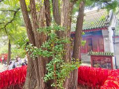 -红螺寺
