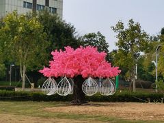 -琅岐红光湖公园
