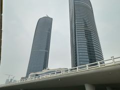 -演武大桥观景平台