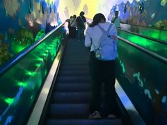 -成都浩海立方海洋公园