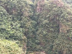 -广东大峡谷