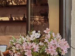 -Apollo·西班牙小酒馆(安福路店)