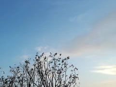 -锦江中华村农家乐饭庄