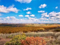 -塞罕坝国家级自然保护区