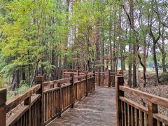 -东湖落雁景区