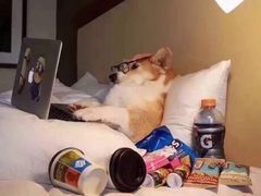 -钓鱼岛洗浴休闲会馆(卫星路店)