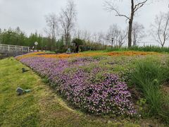 -上海山野camping·户外天幕烧烤·团建拓展营地