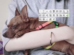 -爱脊康新中式推拿(江汉路步行街店)