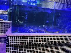 -青蓬蒸汽海鲜·深圳老字号·团建聚会(壹方城店)