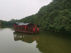 -大湾区中央湿地公园