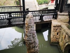-韩湘水博园