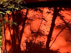 -森林公园(尖草坪区)