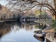 -上海共青森林公园