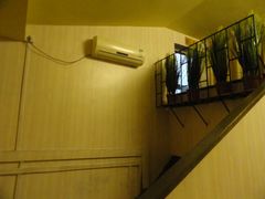 -石头咕(葵蓬店)