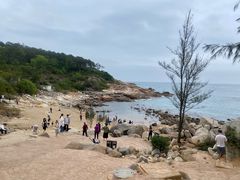-广东惠东海龟国家级自然保护区