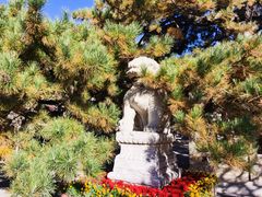 -潭柘寺景区