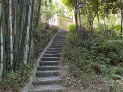 -林丰温泉度假山庄