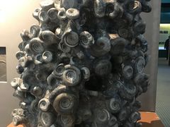 -辽宁古生物博物馆