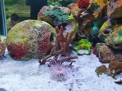 -上海海洋水族馆