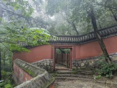 -阳台山自然风景区