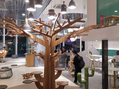 大堂-飞行喵MR PILOT|猫舍·猫咖(静安大融城店)