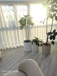 -HEYAN荷妍专业脱毛连锁机构