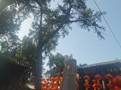 -关林