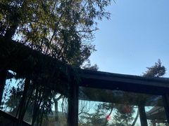 -威海天沐温泉度假区
