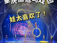 -重庆国际马戏城