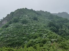 -北京鹫峰国家森林公园