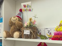 -金一口腔·舒适化正畸·儿牙中心